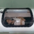 single person hyperbaric oxygen capsule